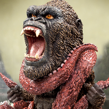 DF KONG 2.0 (OCTOPUS)